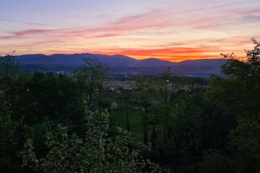 Gite De 70M² Avec Vue Sur Le Massif Du Pilat Clonas-sur-Vareze Eksteriør bilde