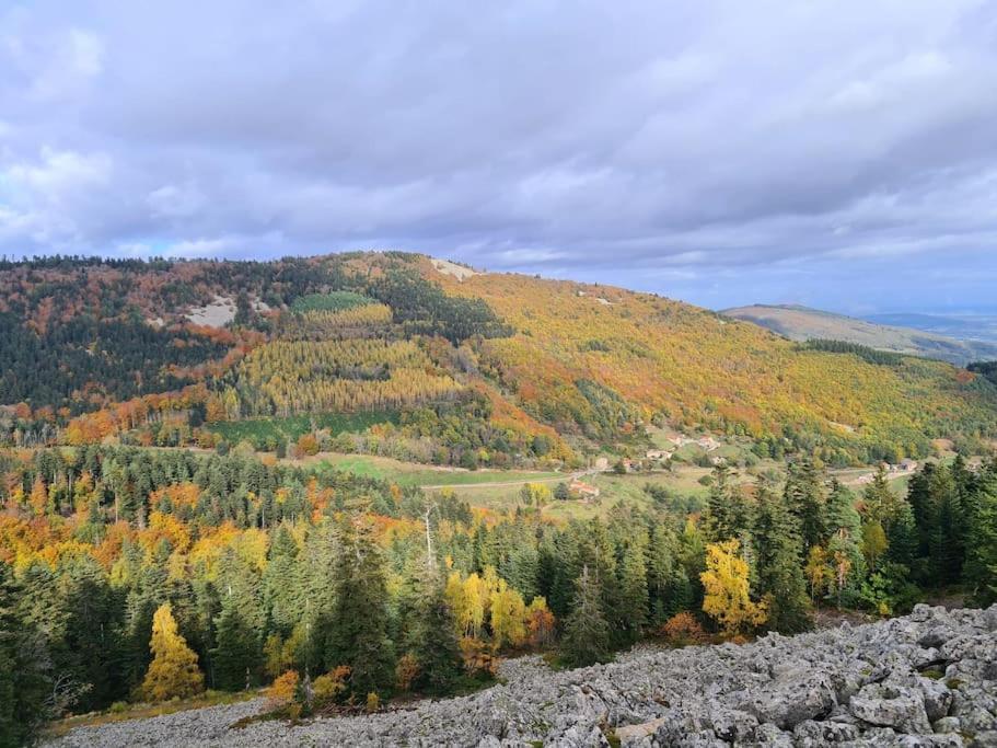Gite De 70M² Avec Vue Sur Le Massif Du Pilat Clonas-sur-Vareze Eksteriør bilde