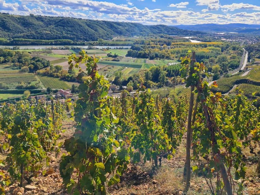 Gite De 70M² Avec Vue Sur Le Massif Du Pilat Clonas-sur-Vareze Eksteriør bilde