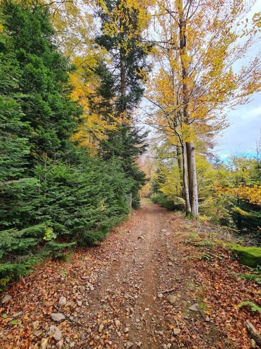 Gite De 70M² Avec Vue Sur Le Massif Du Pilat Clonas-sur-Vareze Eksteriør bilde