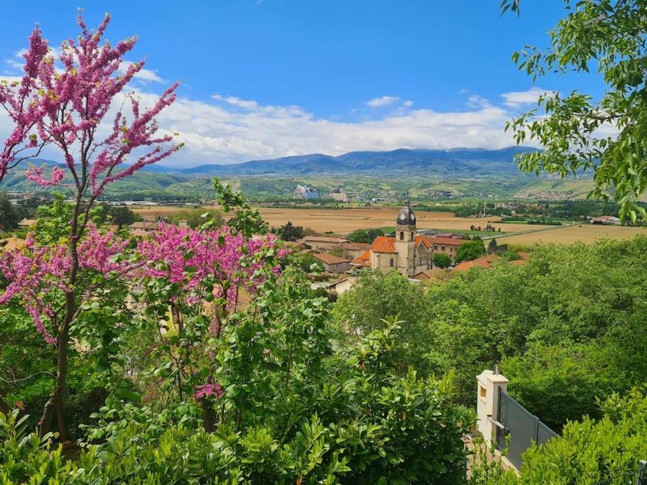 Gite De 70M² Avec Vue Sur Le Massif Du Pilat Clonas-sur-Vareze Eksteriør bilde